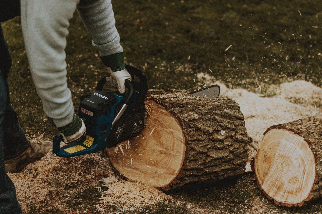 Timber cutting in the forest