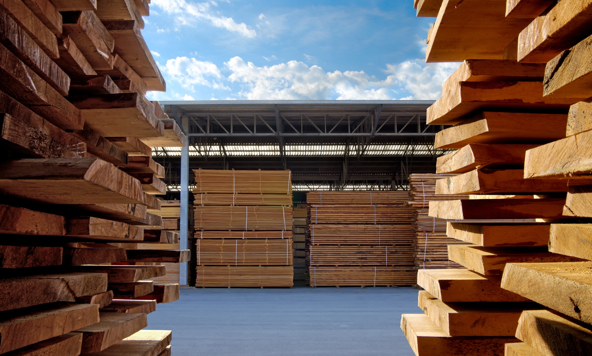 Rows of sawn timber framing a warehouse beneath a blue sky
