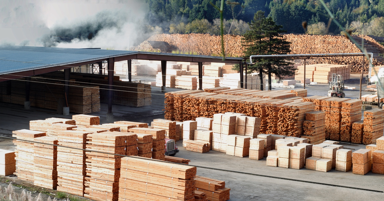 Timber stacked across a sawmill yard
